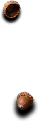 Royal Plate - Restaurant & Catering HTML Template